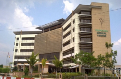 河南马来西亚丽阳助孕中心2003~2014年试管婴儿成功率对比