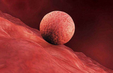 河南女性子宫内膜薄，干细胞治疗怎么样？