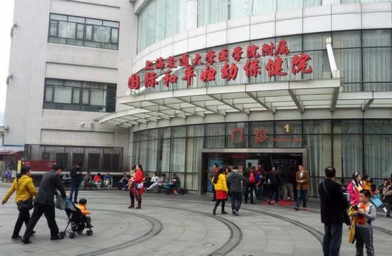 河南上海做试管助孕，上海国妇婴试管婴儿成功率和费用是怎样？